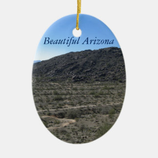Arizona Desert Beauty Ceramic Tree Decoration