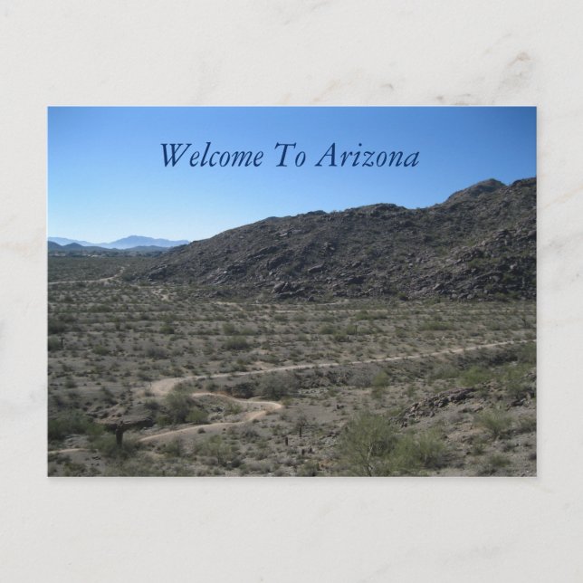 Arizona Desert Beauty Postcard (Front)