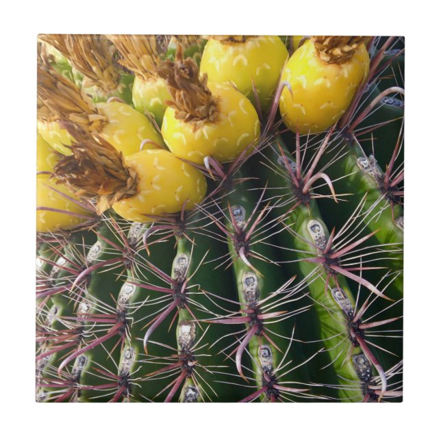 Arizona Desert Cactus Floral Bloom Tile (Front)
