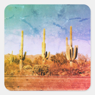 Arizona Desert Cactus Square Sticker