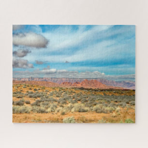 Arizona Desert Design Puzzle