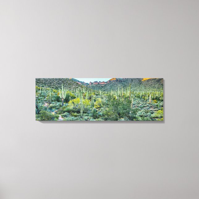 Arizona Desert Hiking Saguaro Cactus Forest 36x12 Canvas Print (Front)