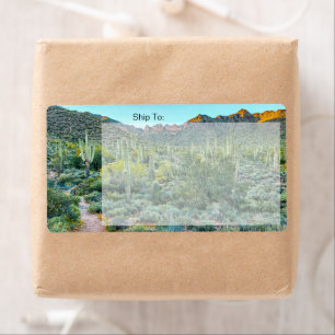 Arizona Desert Hiking Trail Saguaro Cactus Forest