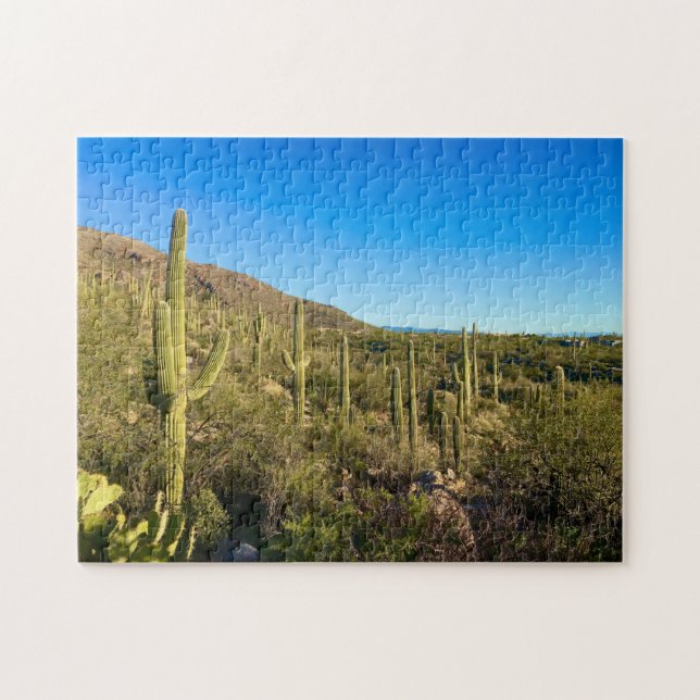 Arizona Desert  Jigsaw Puzzle (Horizontal)