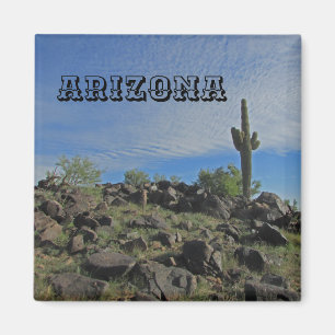 Arizona Desert Landscape Saguaro Cactus Photo Magnet