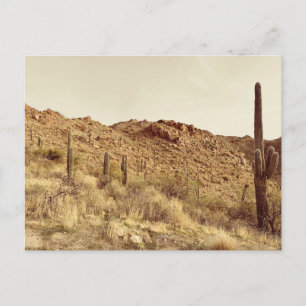Arizona Desert Postcard