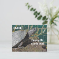 Arizona Enjoying Retired Life Turtle Photo Funny