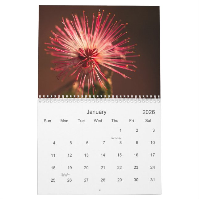 Arizona Flowers Calendar (Jan 2026)