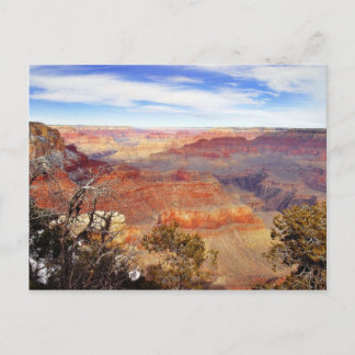 Arizona Grand Canyons Postcard