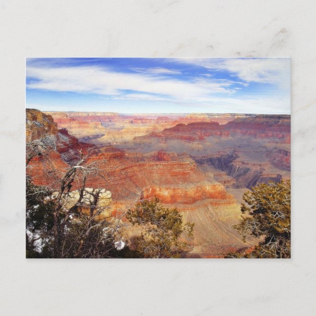 Arizona Grand Canyons Postcard (Front)