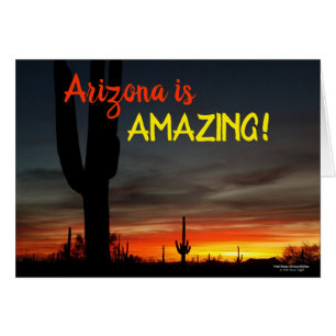 "Arizona is Amazing!" Sunset Sonoran Desert Cactus