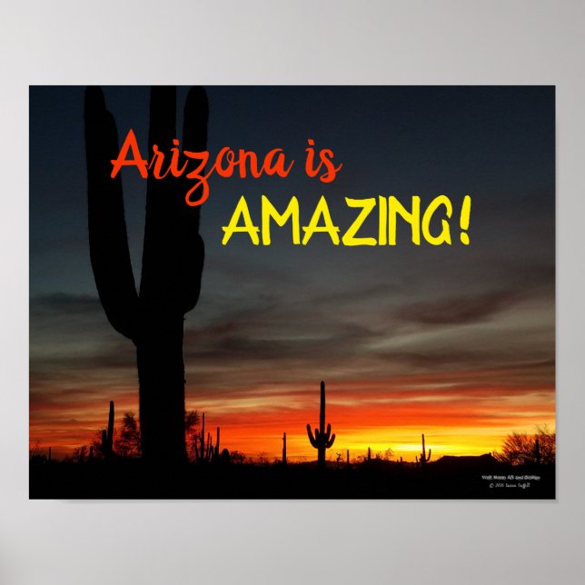 "Arizona is Amazing!" Sunset Sonoran Desert Cactus Poster (Front)