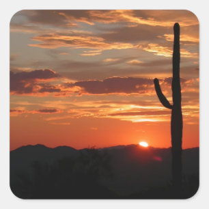 Arizona landscape sunset square sticker