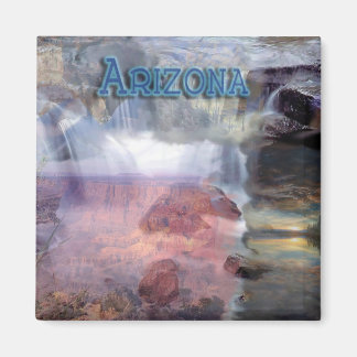 Arizona Magnet