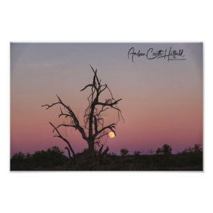 Arizona Moon Photo Print