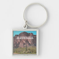 Arizona Mountain Saguaro Cactus Photo Southwest