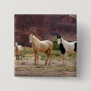 Arizona, Navajo Indian Reservation, Chinle, 15 Cm Square Badge