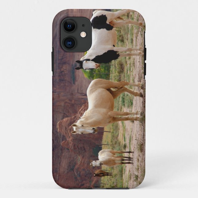 Arizona, Navajo Indian Reservation, Chinle, Case-Mate iPhone Case (Back)