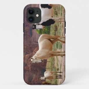 Arizona, Navajo Indian Reservation, Chinle, iPhone 11 Case