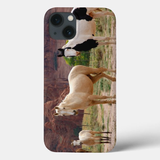 Arizona, Navajo Indian Reservation, Chinle, Case-Mate iPhone Case (Back)