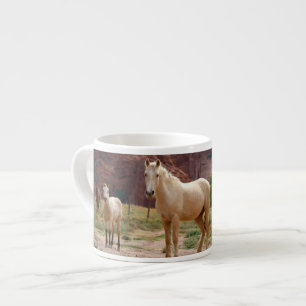 Arizona, Navajo Indian Reservation, Chinle, Espresso Cup