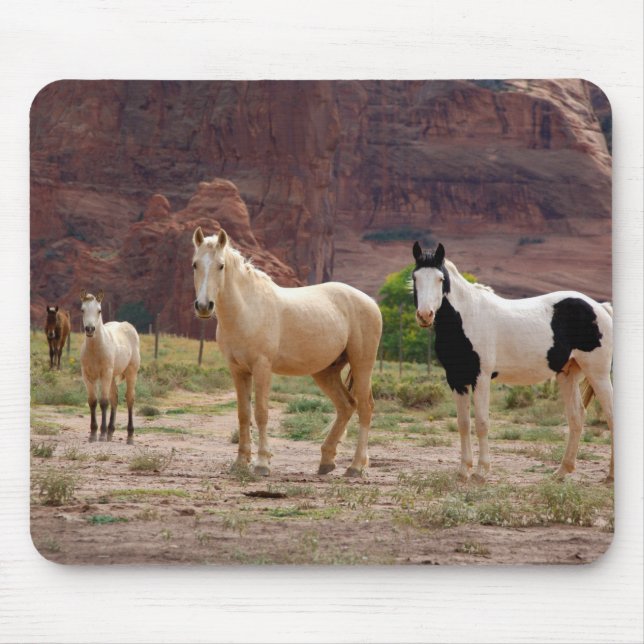 Arizona, Navajo Indian Reservation, Chinle, Mouse Mat (Front)