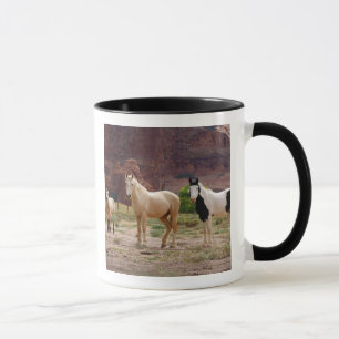 Arizona, Navajo Indian Reservation, Chinle, Mug