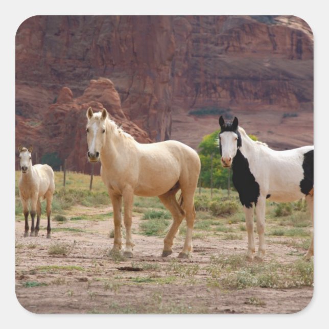 Arizona, Navajo Indian Reservation, Chinle, Square Sticker (Front)