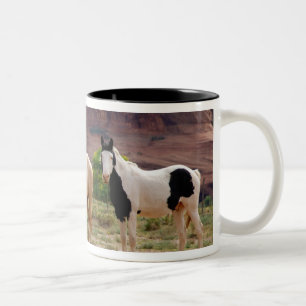 Arizona, Navajo Indian Reservation, Chinle, Two-Tone Coffee Mug