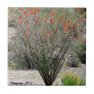 Arizona Ocotillo Tile