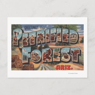 Arizona - Petrified Forest - Large Letter Postcard