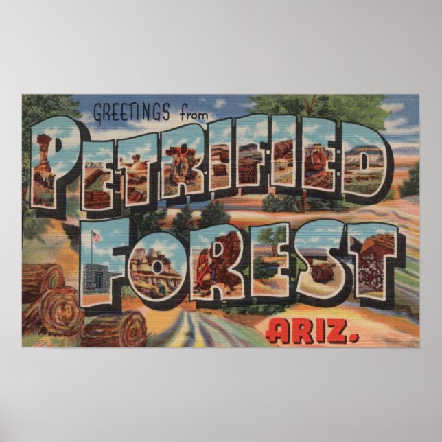 Arizona - Petrified Forest - Large Letter Poster (Front)