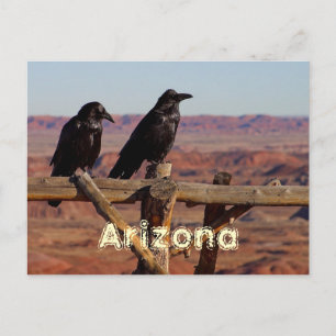 Arizona Postcard