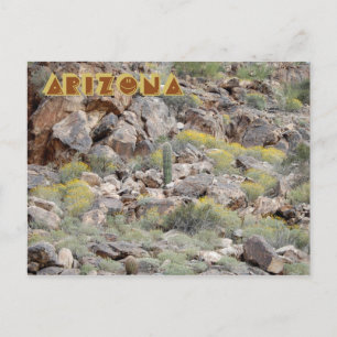 Arizona Postcard