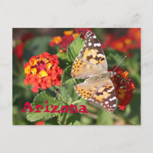 Arizona Postcard