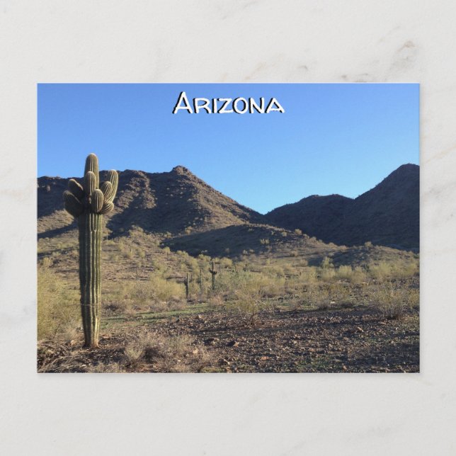 Arizona Postcard (Front)