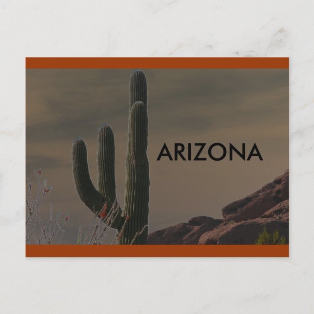 ARIZONA POSTCARD (Front)