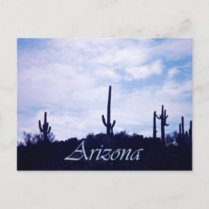 Arizona Postcard
