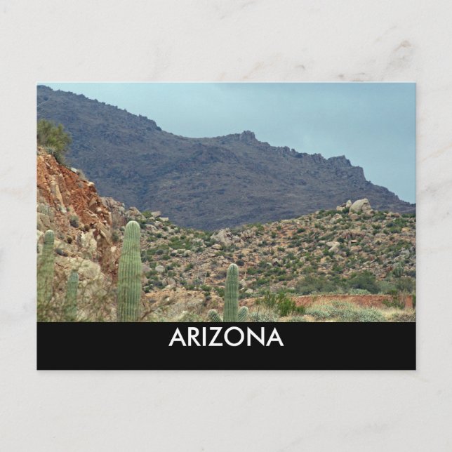 ARIZONA POSTCARD (Front)