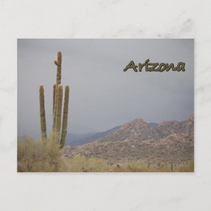 Arizona Postcard