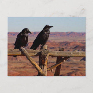 Arizona Postcard