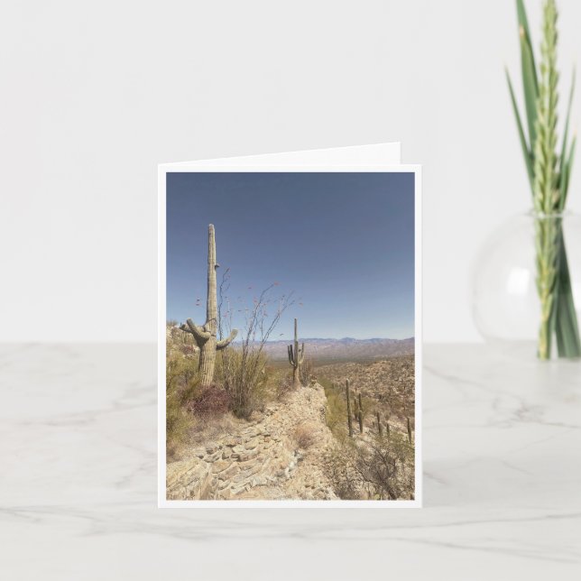 Arizona Postcard 3 (Front)