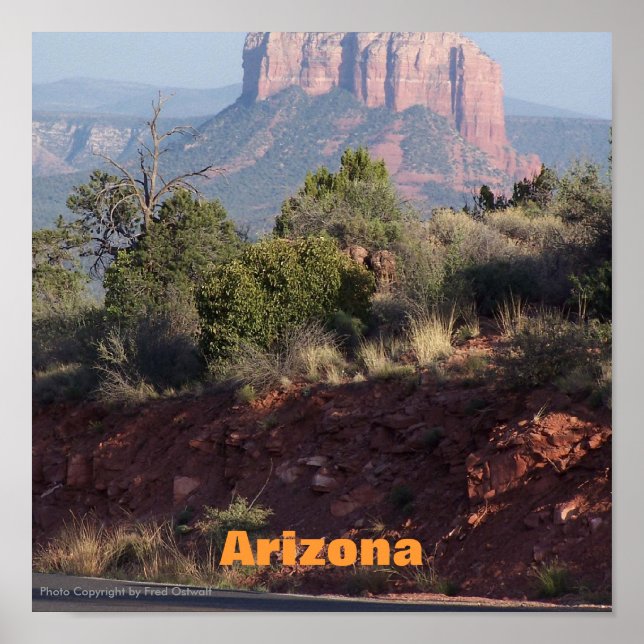 Arizona Poster (Front)