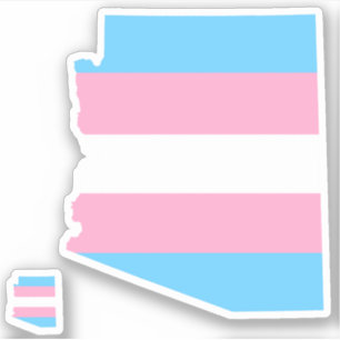 arizona pride striped transgender flag