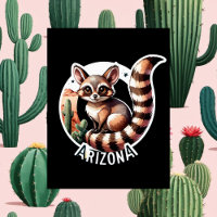Arizona, Ringtail, Postcrossing