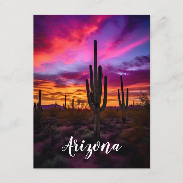 Arizona Saguaro Cactus Southwestern Desert Sunset Postcard (Front)