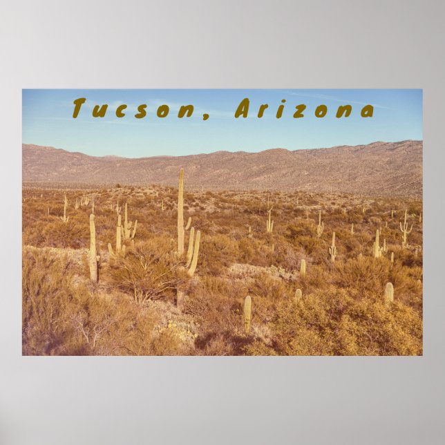 Arizona Saguaros Poster (Front)