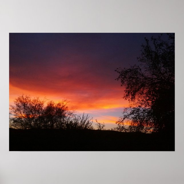 Arizona Sonoran Desert Sunset 21 x 15 Poster (Front)