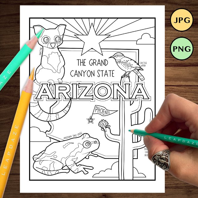 arizona state shape and facts colouring page (Creator Uploaded)