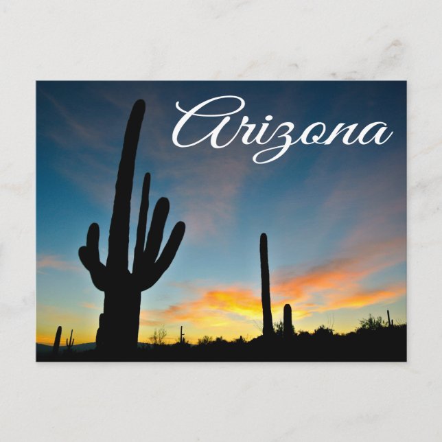 Arizona Sunrise Cactus & Desert Travel  Postcard (Front)